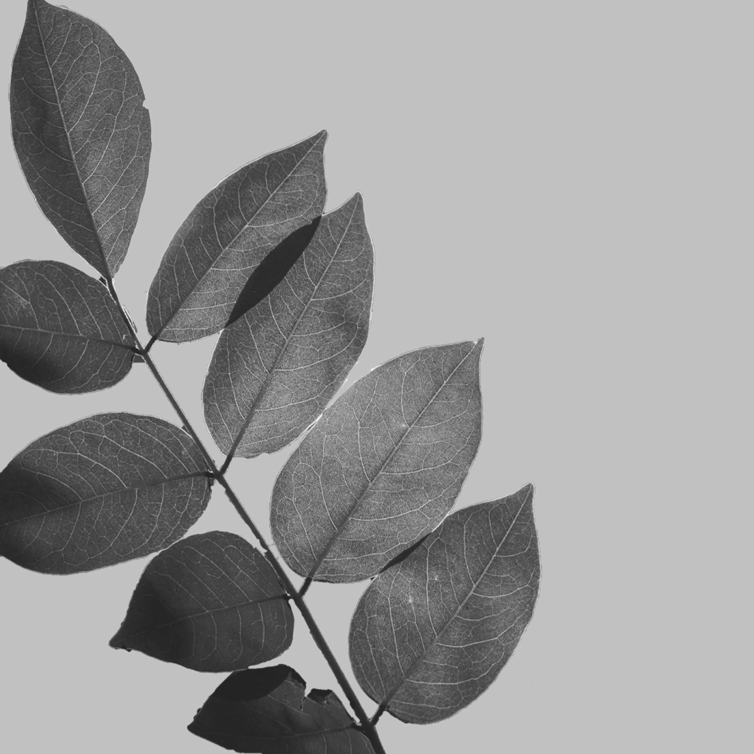 What can you do to protect the environment?