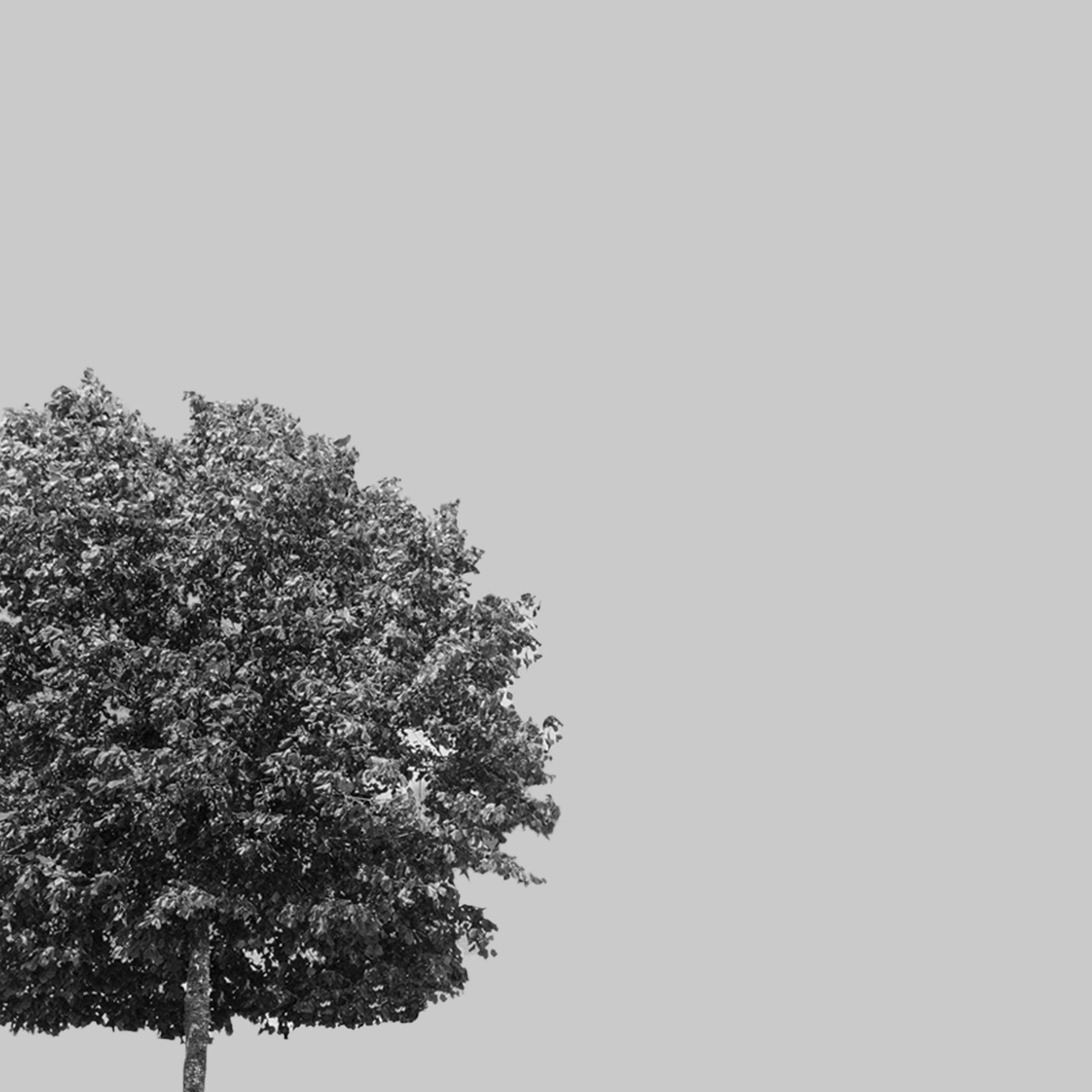 What are the 10 clauses of ISO 14001?