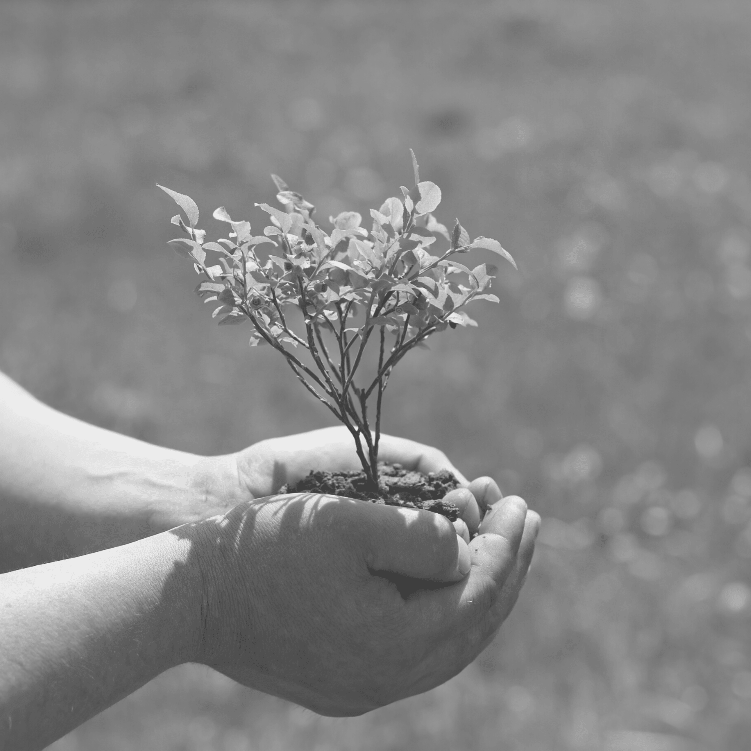 What is ISO 14001 and why is it important?