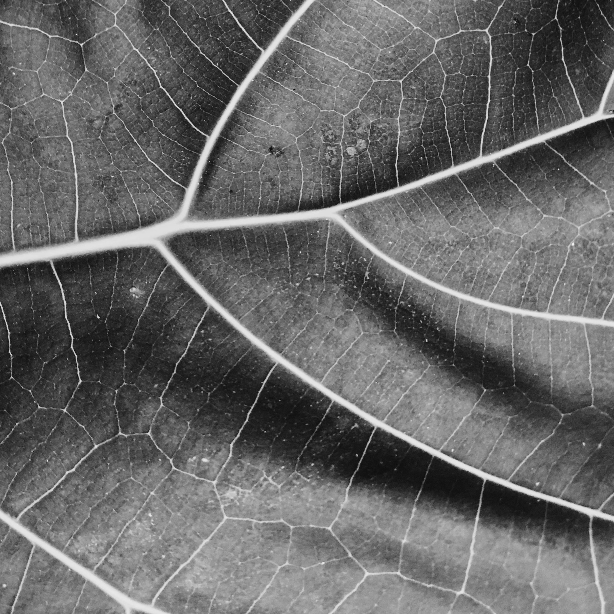 The benefits of ISO 14001 for your business