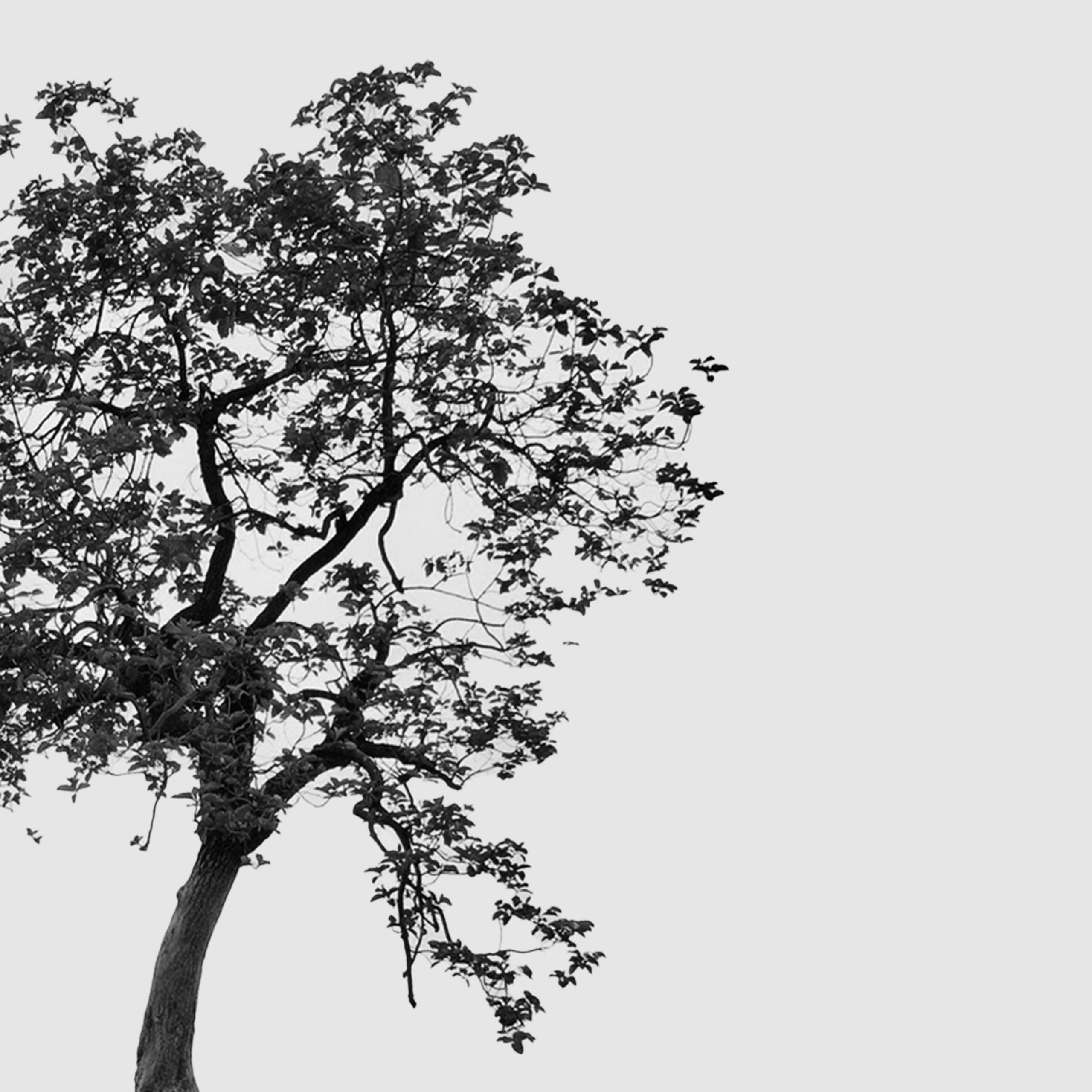 Sustainable business practices to follow