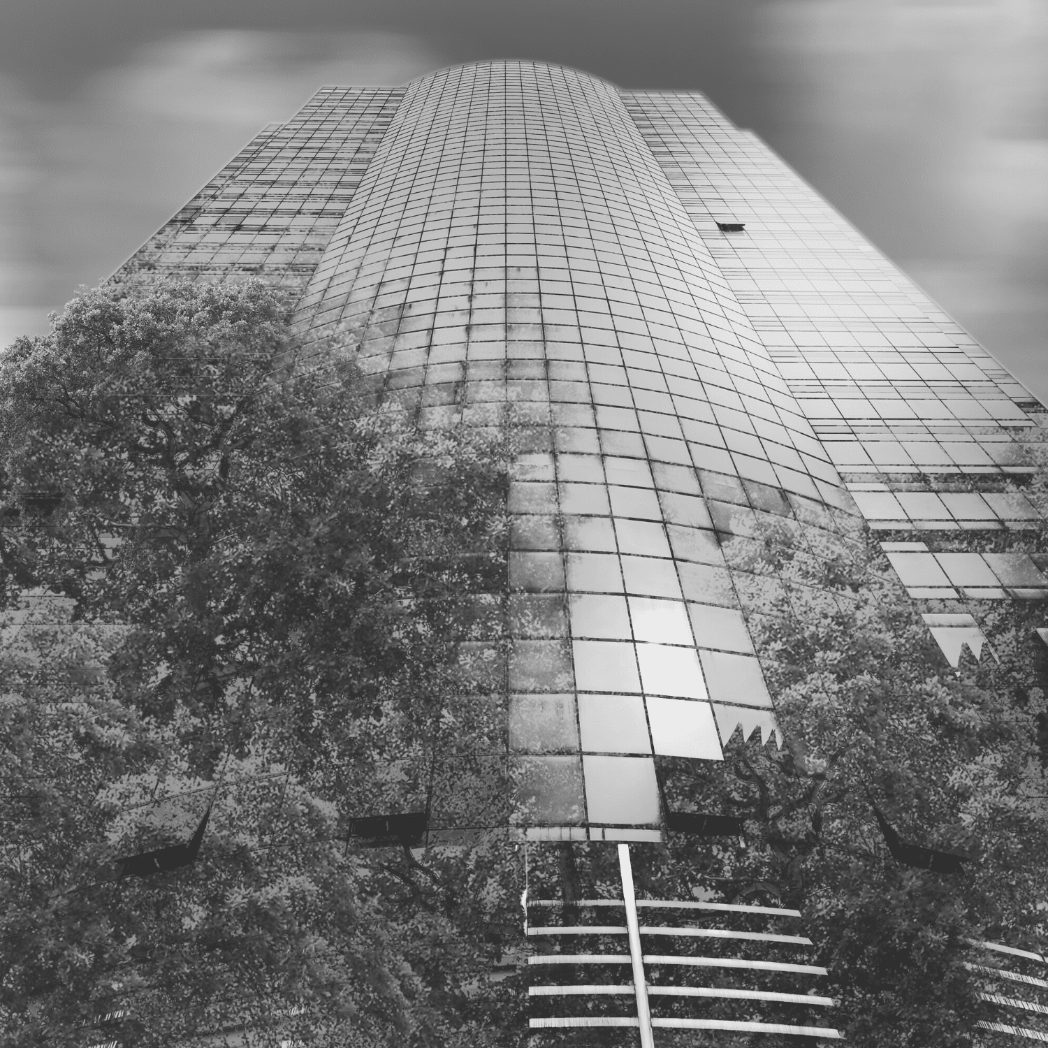 Why sustainable businesses perform better